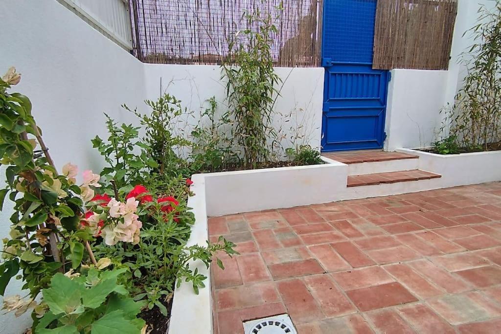 26 Casa Dos Miudos - Alfarim Holiday home *